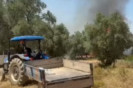 Milas'ta Aynı Gün 5 Ayrı Noktada Alevlerle Mücadele Edildi