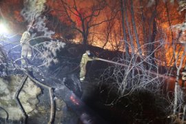 Milas iki farklı noktadan yanıyor, söndürme çalışmaları devam ediyor. Muğla genelinde 7 yangın peşe peşe çıktı