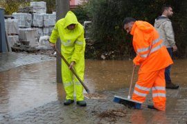 Milas, Muğla’nın En Çok Yağış Alan 5. İlçesi Oldu