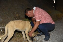 Milas yangınlarında saat 09.44 itibariyle;