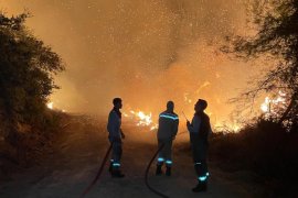 Milas iki farklı noktadan yanıyor, söndürme çalışmaları devam ediyor. Muğla genelinde 7 yangın peşe peşe çıktı