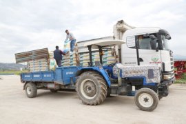 Üreticiye kaliteli ve uygun fiyatlı yem: Süt Bir Yem