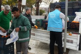 MİLAS BELEDİYESİ HEM ÜRETİCİYE HEM DE TÜKETİCİYE DESTEK OLDU : HALKA PORTAKAL DAĞITTI..