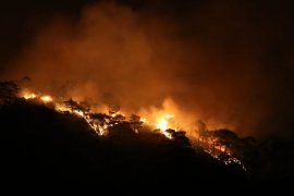 Milas iki farklı noktadan yanıyor, söndürme çalışmaları devam ediyor. Muğla genelinde 7 yangın peşe peşe çıktı