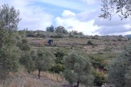 Nejla Işık’tan Çağrı: “Milas Ayağa Kalk, Akbelen’e Sahip Çık”