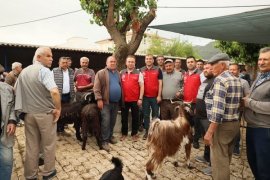 Kurban Bayramı Öncesi Hayvan Pazarı Denetimi