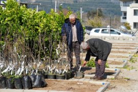 4 bin 410 meyve fidanı üreticiye dağıtıldı