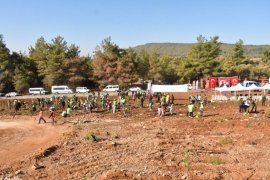Çamovalı Mahallesi'nde Fidanlar ve Tohumlar Toprakla Buluştu