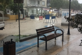 Milas, Muğla’nın En Çok Yağış Alan 5. İlçesi Oldu