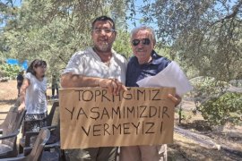 Mimarlar Odası Muğla Şubesi:  “YILLARDIR KALDIRILAMAYAN! ZEYTİN YASASI YENİ MADEN YASASI ile DELİNDİ”
