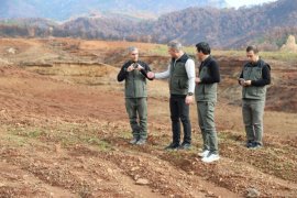 Milas ve Diğer İlçelerde Fidan Dikilecek