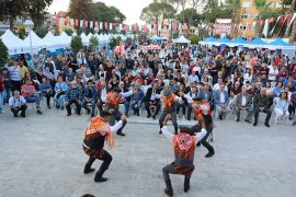 Zeytin hasat şenliği sona erdi