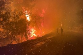 Milas iki farklı noktadan yanıyor, söndürme çalışmaları devam ediyor. Muğla genelinde 7 yangın peşe peşe çıktı