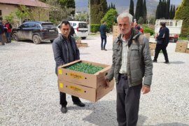 Ata tohumlarından elde edilen fideler ücretsiz dağıtıldı