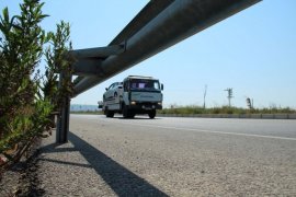 Söke-Milas Yolunda Nadir Bir Tür Daha Hayatını Kaybetti