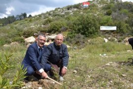 Muhtarlar tarafından Milas Muhtarlar Derneği Hatıra Ormanı oluşturuluyor