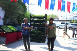 Milas Belediyesi’nden Çiftçilere 250 Bin TL’lik Fide Desteği