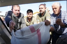 Milas Belediyesi, Üreticilere 4 Bin 275 Kilo Buğday Tohumu Dağıttı