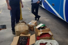 Büyükşehir Zabıta Ekipleri 176.5 Kg Midyeye El Koydu