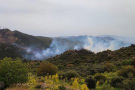 Bodrum’da orman yangını