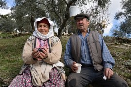 ZEYTİN HASADI YAPAN VATANDAŞLARA  BELEDİYE’NİN ZİYARETLERİ DEVAM EDİYOR..