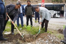 Muhtarlar tarafından Milas Muhtarlar Derneği Hatıra Ormanı oluşturuluyor