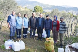 ZEYTİN HASADI YAPAN VATANDAŞLARA  BELEDİYE’NİN ZİYARETLERİ DEVAM EDİYOR..