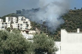 Güllük'te Makilik Alanda Çıkan Yangın Kısa Sürede Söndürüldü