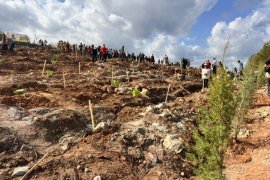 Güvercinlik’te 4 Bin Fidan Toprakla Buluştu…