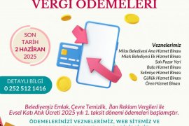Vergi Ödemelerinde Son Tarih 2 Haziran