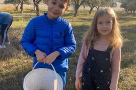 Minik Eller Zeytinin Yolculuğunu Yerinde Öğrendi