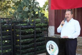 Milas Belediyesi’nden Çiftçilere 250 Bin TL’lik Fide Desteği