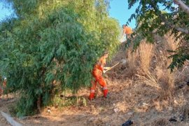 Milas’ın Temizliği İçin Uyarıdan Fazlası Gerekli