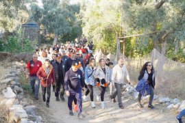 8. Milas Zeytin Hasat Şenliği’nin 2’nci günü sağlık yürüyüşü ile başladı