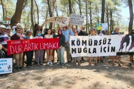 Akbelen’de Çevre Günü’nde çevreci ve köylülere jandarma baskını iddiası