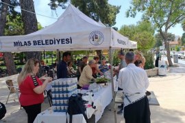 Milas Türkü Dostları’ndan Kermes ve Konser Daveti