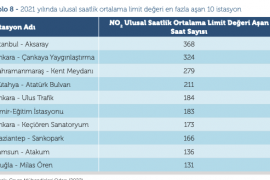 Kara Rapor 2022: Muğla, 9'uncu il oldu