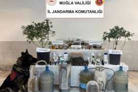 Muğla'da Uyuşturucu Operasyonu: Ortaca'da Bir Şüpheli Gözaltına Alındı