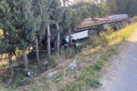 Balık yemi yüklü tır tarlaya uçtu