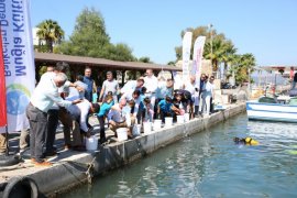 Milas Boğaziçi’nde 160 Bin Yavru Balık Denizle Buluştu