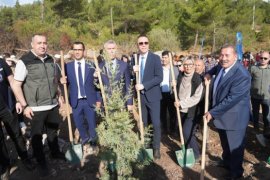 Güvercinlik’te 4 Bin Fidan Toprakla Buluştu…