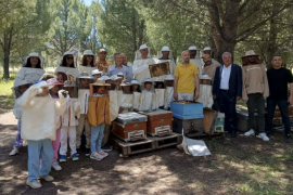 Arılarla Doğayı Keşfettiler: Milas’ta Çocuklar Hem Eğlendi Hem Öğrendi