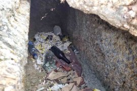 Çöpler Arasında Tarih: Herakleia’da Vahim Manzara