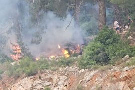 Boğa Yokuşu’nda Orman Yangını