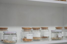 BAŞKAN TOPUZ’DAN YEREL TOHUM MERKEZİ’NDE İNCELEME