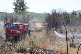 Milas Çamköy’de Ziraat Alanda Başlayan Yangın Büyümeden Söndürüldü