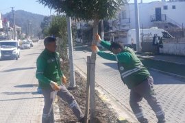 Nefes alan yeşil bir Milas için çalışıyoruz