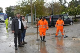 Milas, Muğla’nın En Çok Yağış Alan 5. İlçesi Oldu