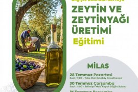 Zeytin ve Zeytinyağı Üretimi Eğitimi Milas’ta Başlıyor