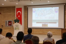 Yaban Domuzlarının Ekosistem ve Halk Sağlığına Etkileri Muğla’da Masaya Yatırıldı